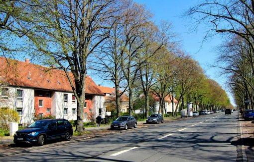 Saarstr. 32, 1 L - Kleine und feine Wohnung ggf. mit EBK anzumieten - Photo 1