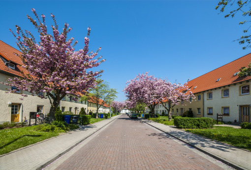 Lindenbergsiedlung